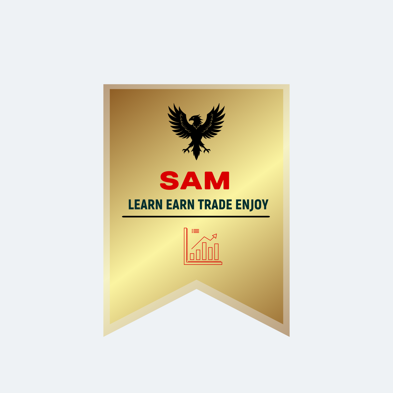 "From Classroom to Boardroom – Your Finance Guide."